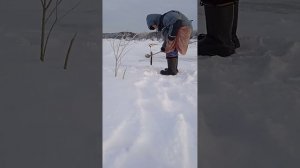 Жерлица автомат Вашина 2023 год