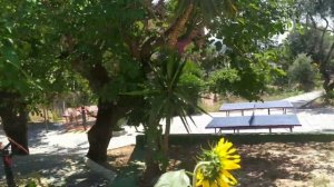 Карта расположения номеров в отеле Senza garden holiday club 5 в Конаклы Алания, Турция 2021