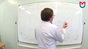 Гемостаз первая часть