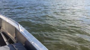 Лодка "Трайдент-450" с мотором "Suzuki DT-15"