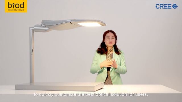 Описание консольного магистрального светильника (англ) смотреть онлайн