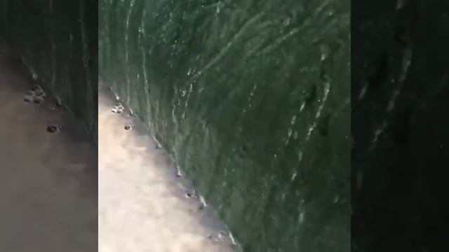 укрывной материал флис для укрытия соломы и сена смотреть онлайн