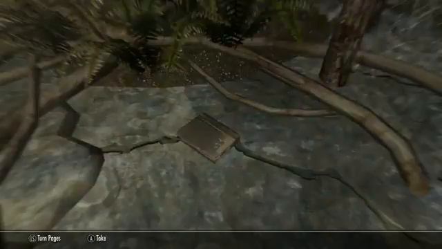 The Elder Scrolls V Skyrim Walkthrough Part 123   Book of Clues