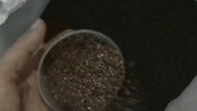 ОЧЕНЬ ПОЛЕЗНОЕ, ЛЬНЯНОЕ И КОНОПЛЯНОЕ МАСЛО