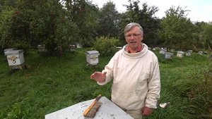 Закормили пчёл сиропом и пчёлы готовят место для клуба. Пасека Лаврова.