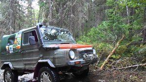 подьём от избушки в кедровнике на перевал Дятлова