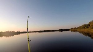 рыбалка ловля трофейного змееголова на спининг Дикие поклёвки змееголова 2021 год на snakehead Моя