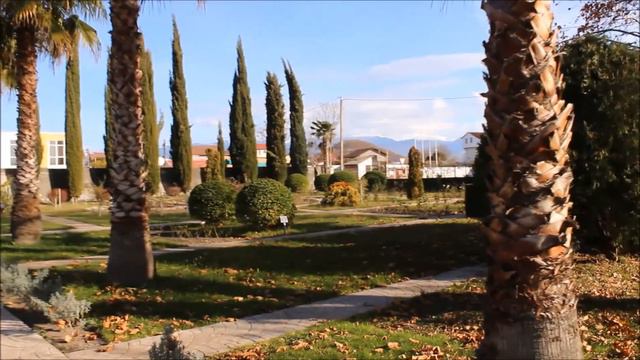 Полный обзор парка-дендрария "Южные культуры" в Адлере ( Большой Сочи) смотреть онлайн