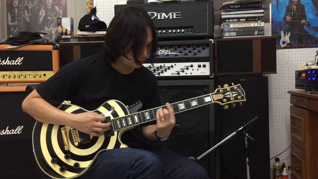 Gibson Custom Zakk Wylde Signature Les Paul Electric Guitar Bull's Eye смотреть онлайн