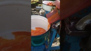 Соковыжималка Струмок, 5минут, 10 литров томата.