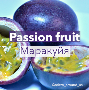 Маракуйя под микроскопом