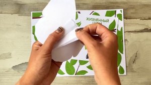 Детская поделка цикл жизни бабочки с шаблонами для распечатки, делаем своими руками из бумаги в сад