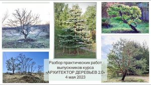 Разбор практических работ выпускников курса "АРХИТЕКТОР ДЕРЕВЬЕВ 2.0". 04.05.2023