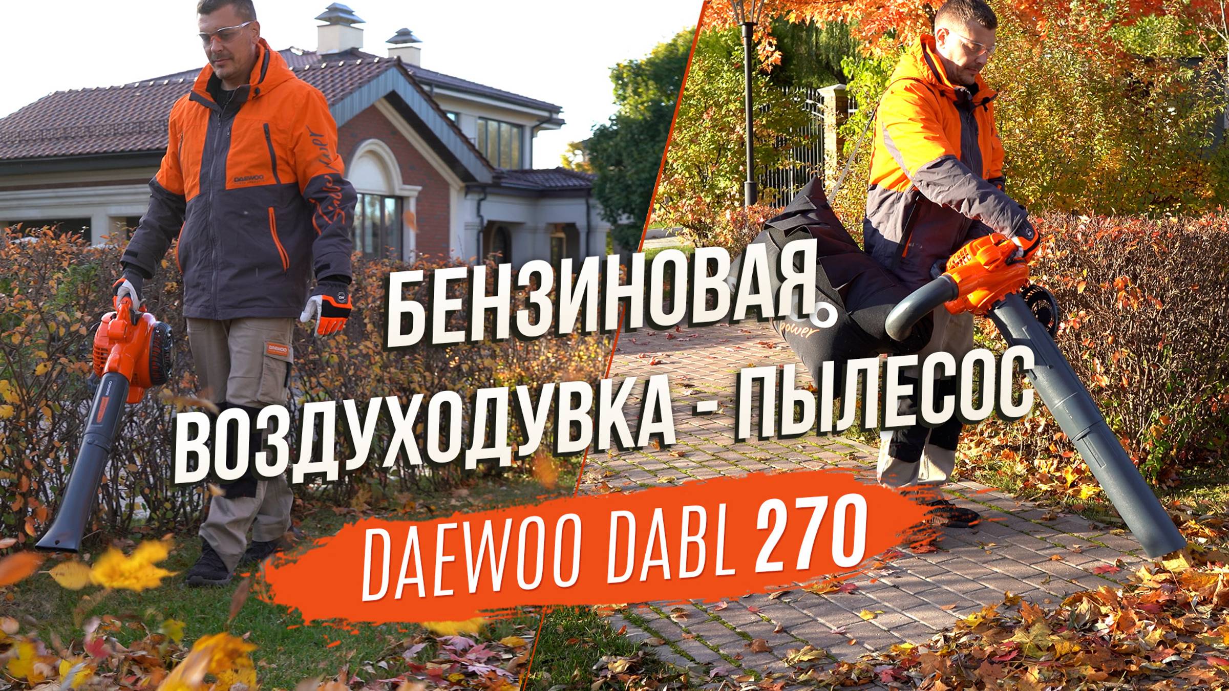 Бензиновая воздуходувка-пылесос DAEWOO DABL 270. Тестирование устройства 2в1 в осеннем саду