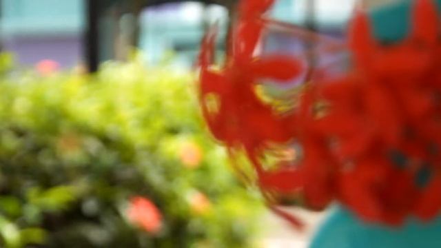 Sample video Fuji finePix HS50EXR смотреть онлайн