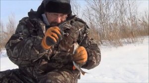 Мастер класс по ловле окуня на столбик