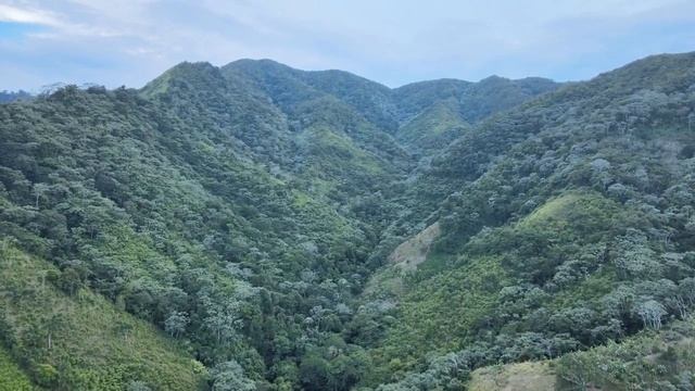 Музыка для Релаксации, Медитации, Сна и Работы смотреть онлайн