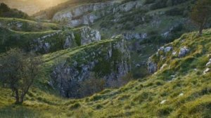 ДИНОЗАВРЫ ДЛЯ ДЕТЕЙ / Развивающие Мультики / Изучаем названия, звуки и голоса динозавров.