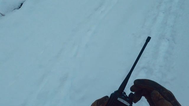 Охота на косулю. В поисках трофея. Заснеженный лес не оставляет шансов. Серия 2 смотреть онлайн