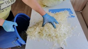 Солим капусту по рецепту "НА ГЛАЗ", пробуя на соль/Жизнь в селе