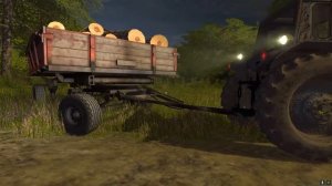 Привез бабушке целый прицеп дров на МТЗ 80