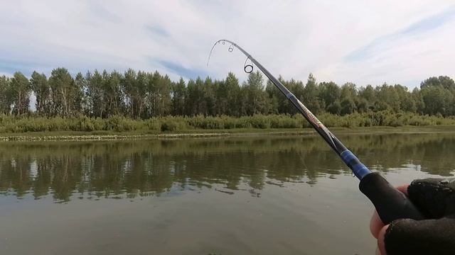 Бешеный клёв продолжается ! Щука хватает щуку !! смотреть онлайн