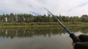 Бешеный клёв продолжается ! Щука хватает щуку !!