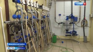 Губернатор посетил крестьянско-фермерское хозяйство в селе Бекетовка в Вешкаймском районе