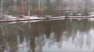 Работают блесны Dohna. Клёвое место, Лосиный остров, спорт - зона.