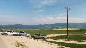 Туркменская лошадь и скачки в Гомбеде-Кавус (Иран)