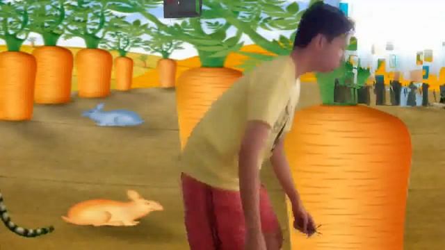 Organic Chemistry-Beta-Carotene