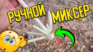 Сходил в лес и принëс ручной миксер