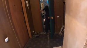 ВЛОГ:БУДНИ ПЬЯНИЦЫ/КОМБИКОРМ ПАТИ В ДЕЛЕ!!!