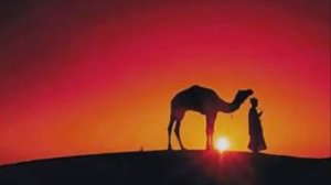 Habibi арабская музыка