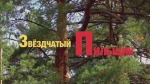 Звёздчатый пильщик