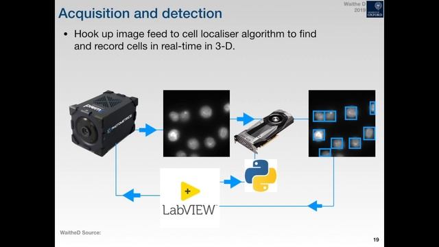 Automating microscopy acquisition with deep learning and augmented reality. 2019 IAFIG Spotlight. смотреть онлайн