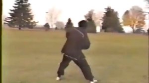 Гунтин багуа чжан форма "Темный дракон" / Shen Ba Gua Black Dragon Form Full Set.