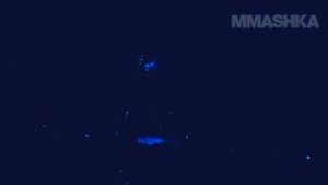 Мирко КроКоп отомстил за свое  поражение | Kevin Randleman vs Mirko Cro Cop Filipovic