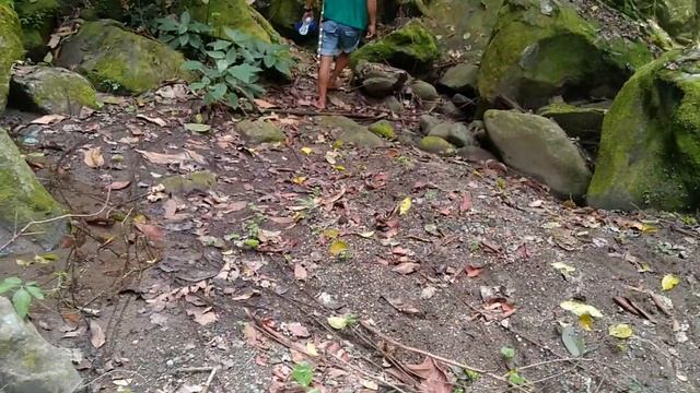 The Trail - Ambon Falls | River Trek | La Carlota City | Negros Occidental | Philippines | Travel смотреть онлайн