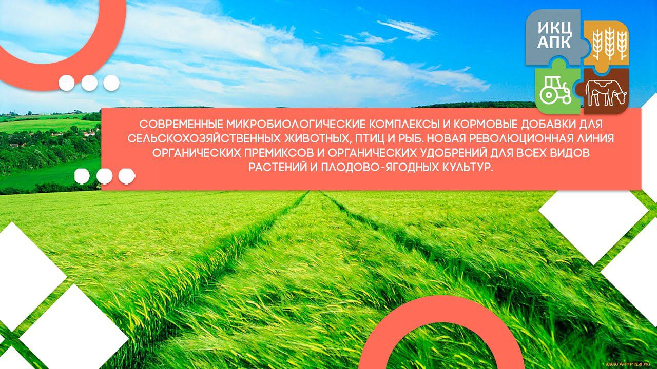 Запись семинара от 27 апреля 2022 года