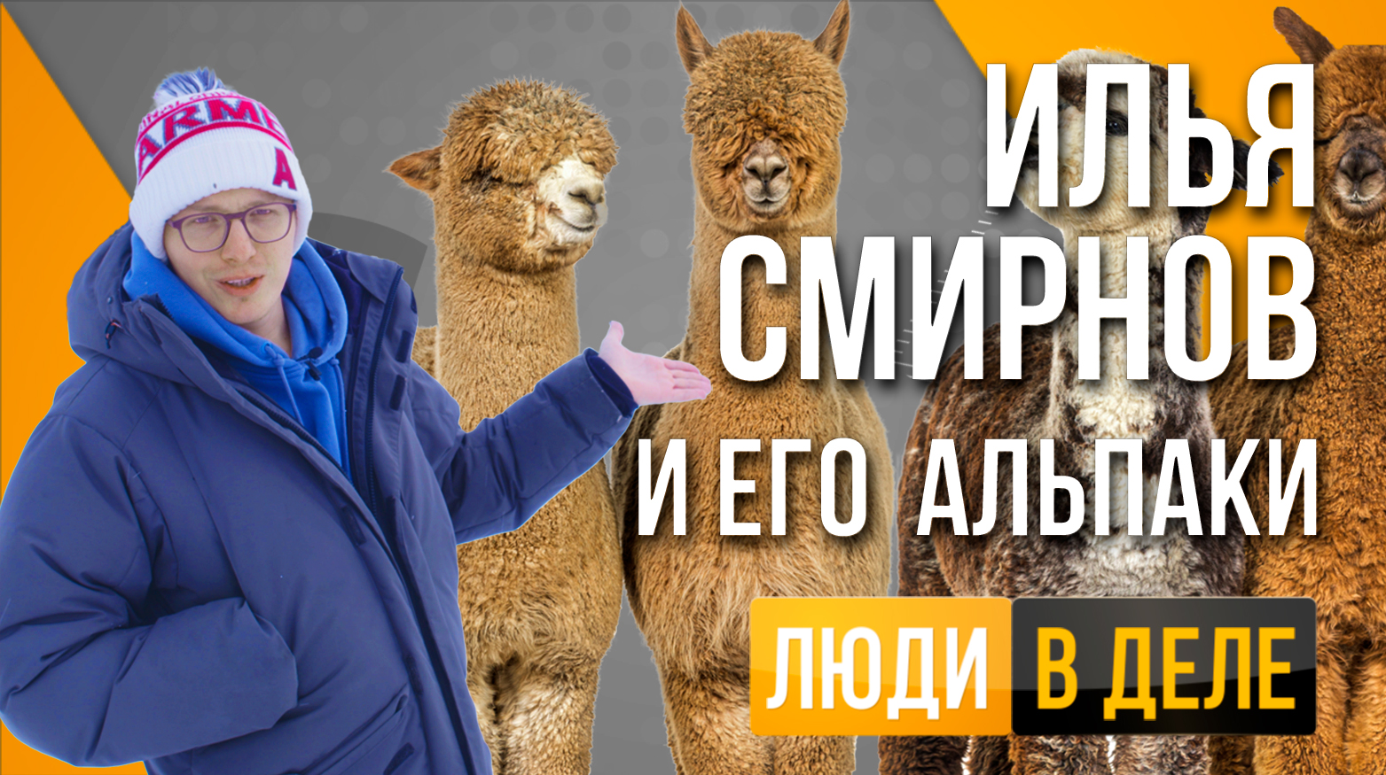 Илья Смирнов и его российские альпаки