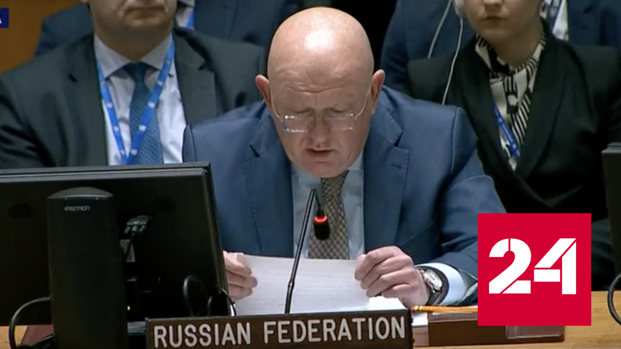 Небензя заявил в Совбезе ООН о прозрачности проведения референдумов - Россия 24