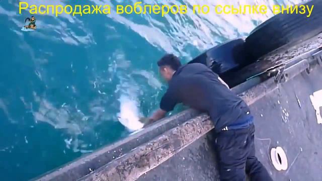 Zipbaits rigge 35f купить в москве смотреть онлайн