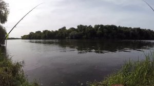 На Этот МОНТАЖ теперь ЛОВЛЮ ВСЕГДА. ЛЕЩ в конце СЕНТЯБРЯ 2022 #рыбалка2022 #фидер #лещ #рыбалка