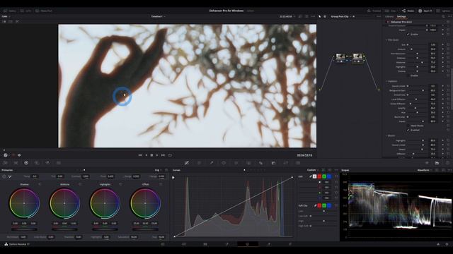 Dehancer Pro 4.0 Bloom & Halation Tutorial | Now Available for Windows! смотреть онлайн