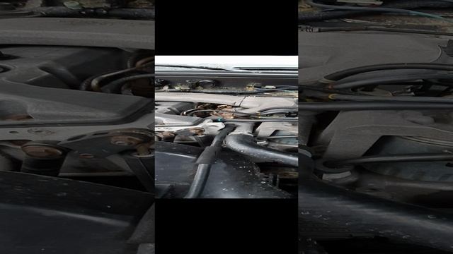 МЕТКИ ГРМ НА ЦЕПНОМ ДИЗЕЛЬНОМ МОТОРЕ - ГДЕ ИХ НАДО ИСКАТЬ. смотреть онлайн