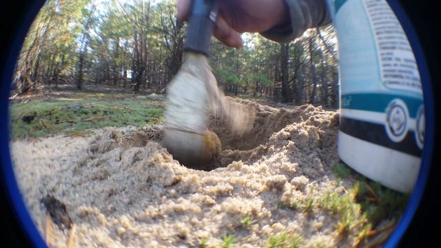 Гриб песочник смотреть онлайн