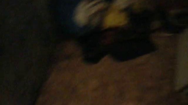 Шкаф Икея. Гардероб Пакс. Формальдегид. смотреть онлайн