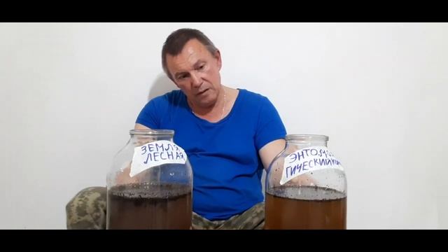 Лучшее органическое удобрение БИОгумус ПРАВИЛЬНО своими руками смотреть онлайн