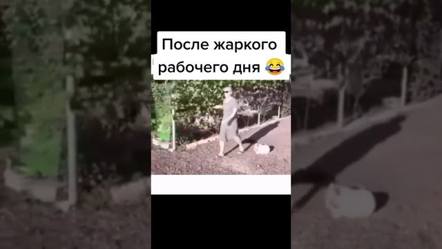 После жаркого рабочего дня.mp4